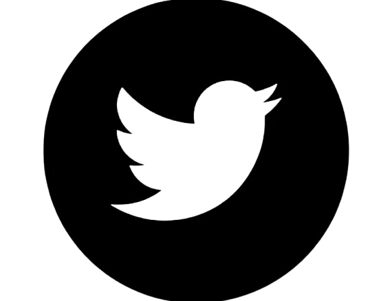 app-dev-niche-hero-img