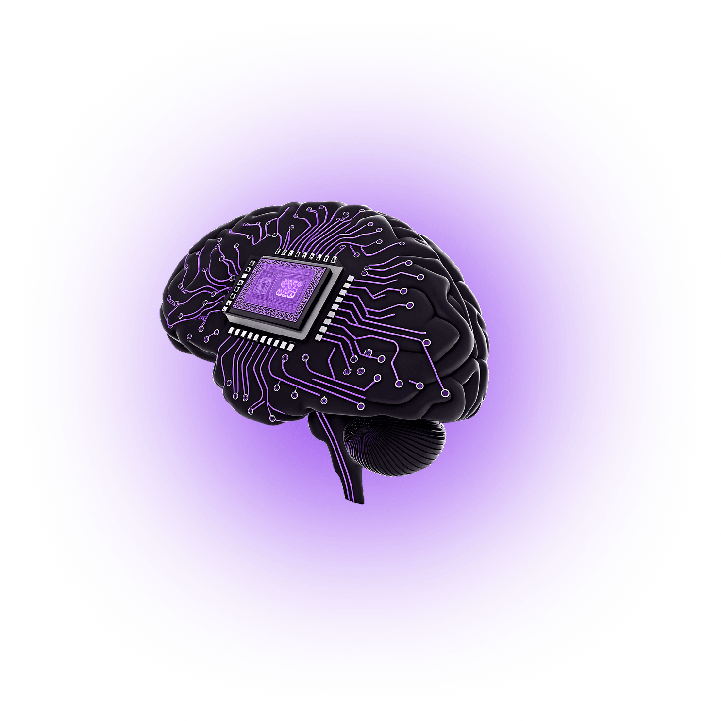 web-dev-nich-banner